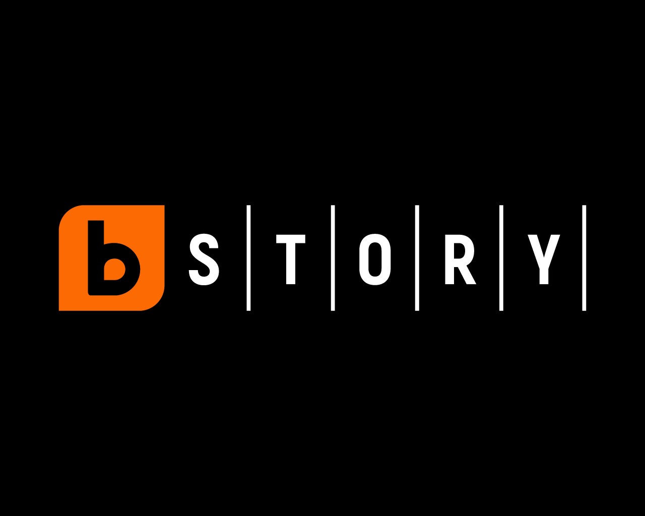 logo bTV STORY