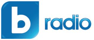 logo бТВ РАДИО/ bTV RADIO